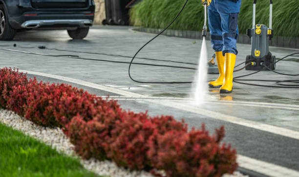 Best Brick and Stone Cleaning in Beverly Hills, FL